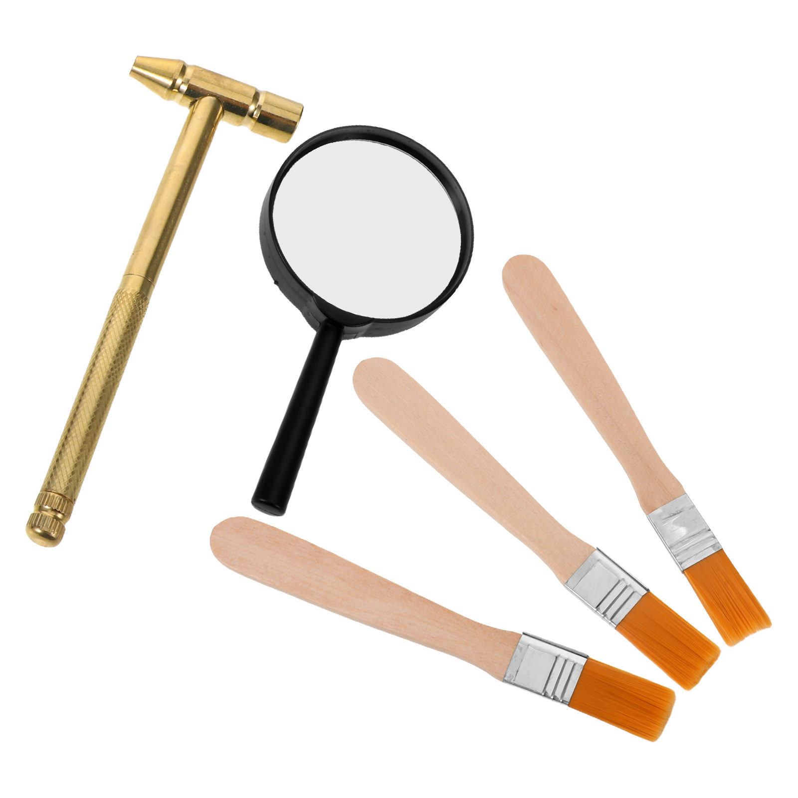 Kids Education Tools - 1Set Kids Archaeology Excavation Set Realistic