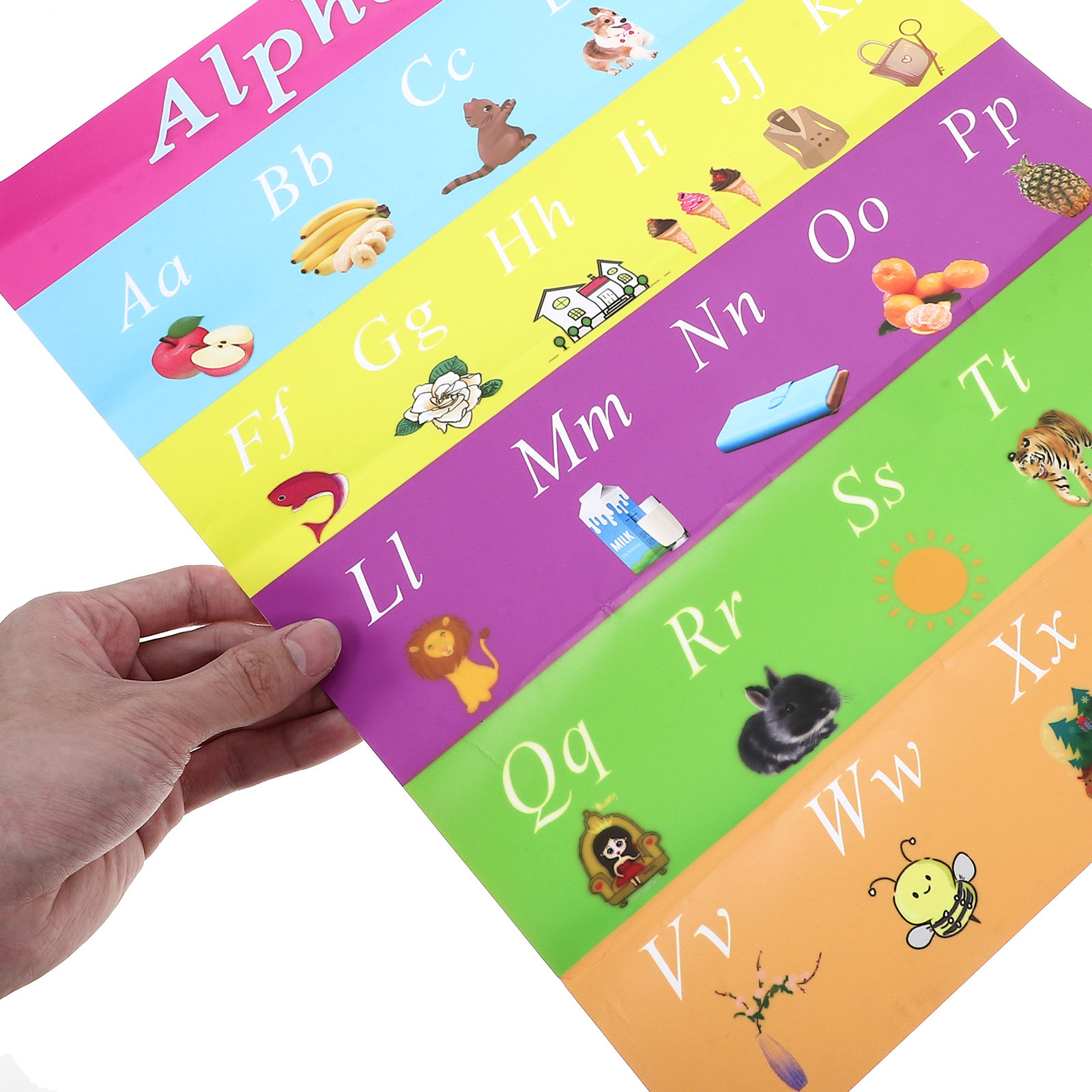 Early Education Poster 30x40cm - Kids Educational Poster review and price