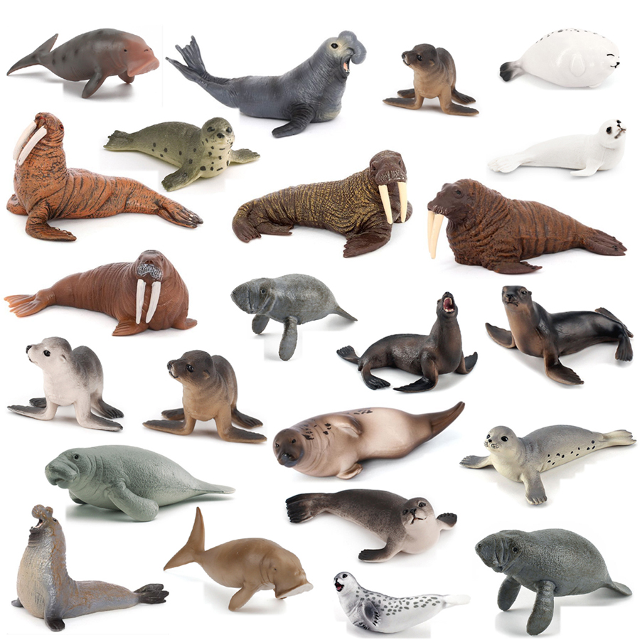 Realistic Dugong Manatee Walru - Kids Education Fun review and price