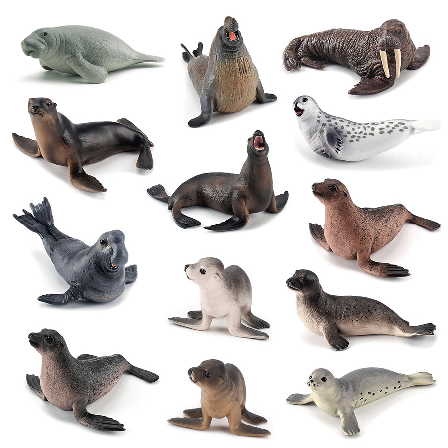 Realistic Dugong Manatee Walru - Kids Education Fun review and price