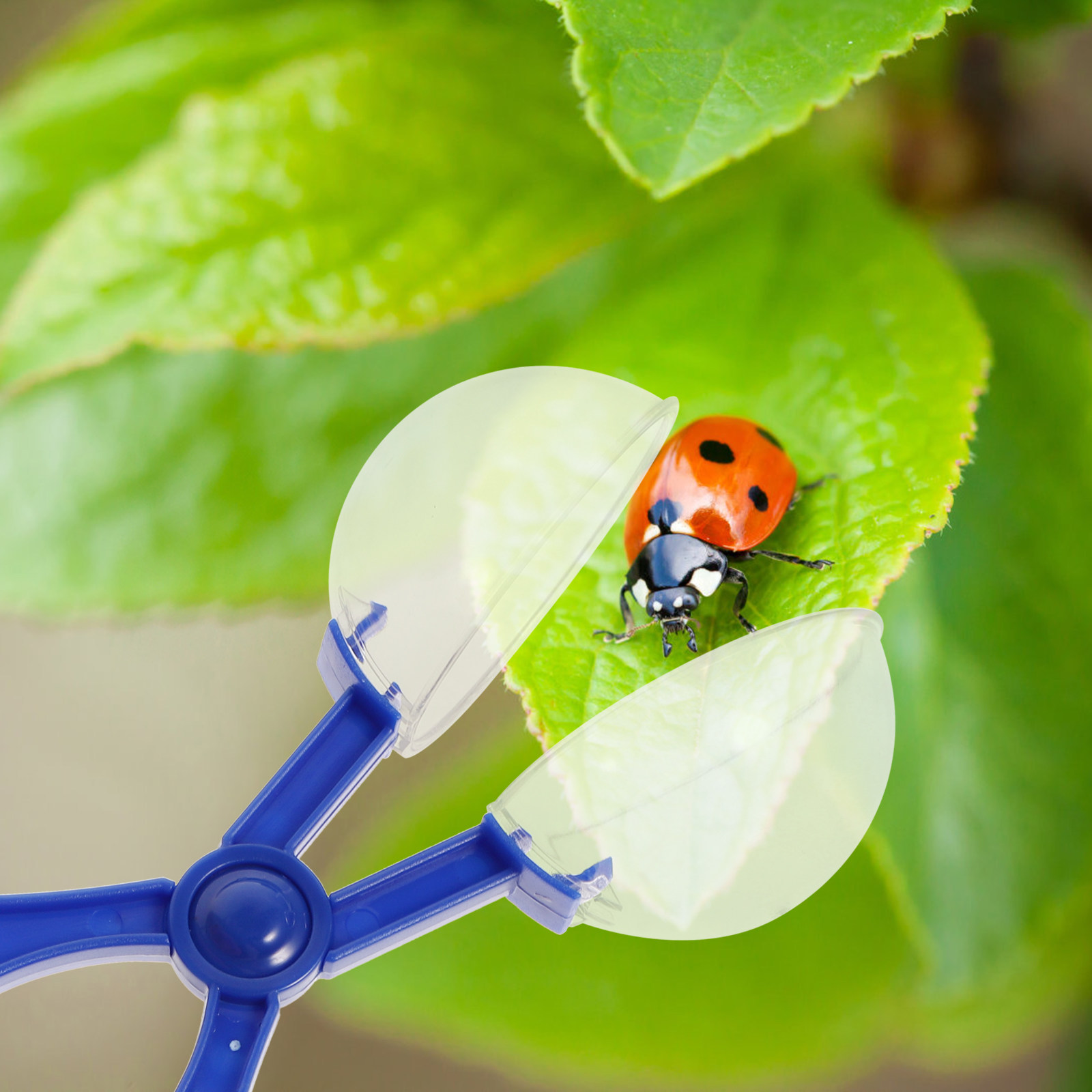 8Pcs Insect Catcher Scissors K - Kids Education Tools review and price