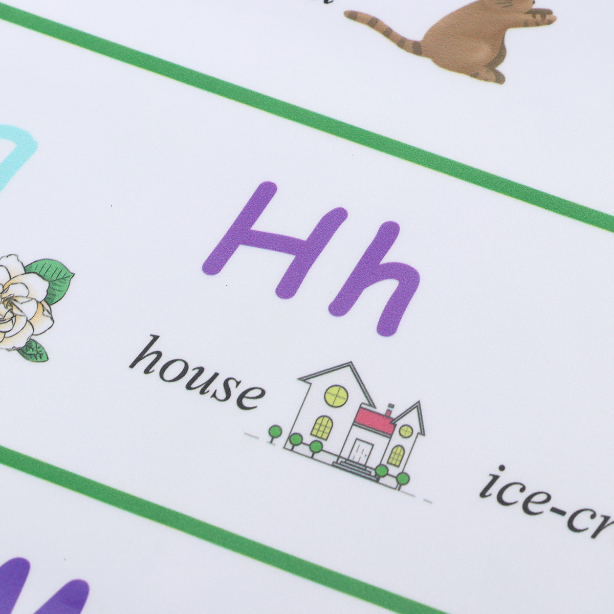 Early Education Self-Adhesive  - Kids Educational Poster review and price