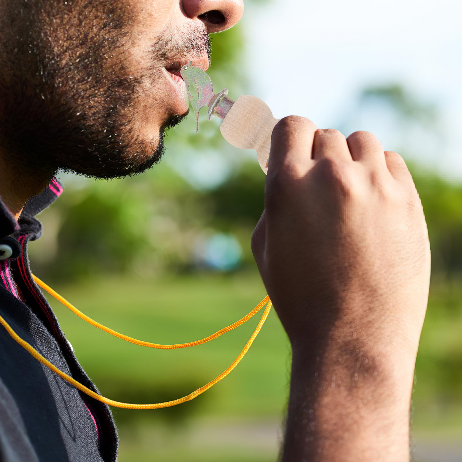 Hand-Twist Wooden Bird Whistle - Kids Education Fun review and price